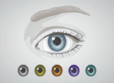 眼科医师 美化 眼睛可能导致大问题